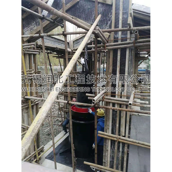 800QZ-125潛水軸流泵